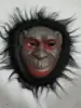 Orango B