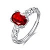 JH0069-5Garnet