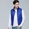 50% verso il basso-Royal Blue