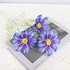 Bleu violet