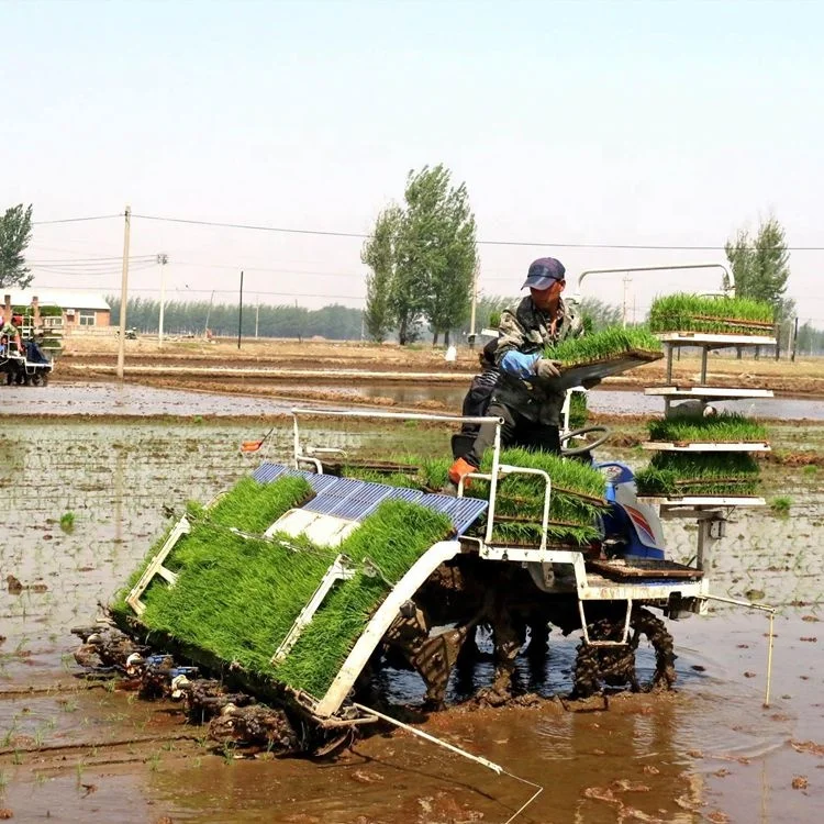 Factory Price Rice Transplanter Tyre with Rims High Speed Paddy Field Rubber Solid Wheels