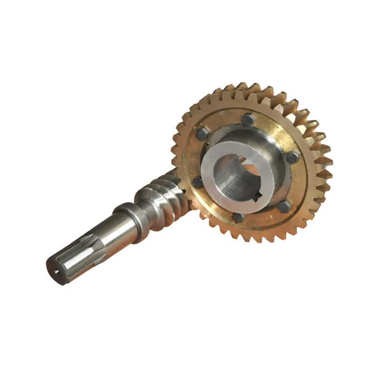 assurance best custom processing stainless steel worm gear