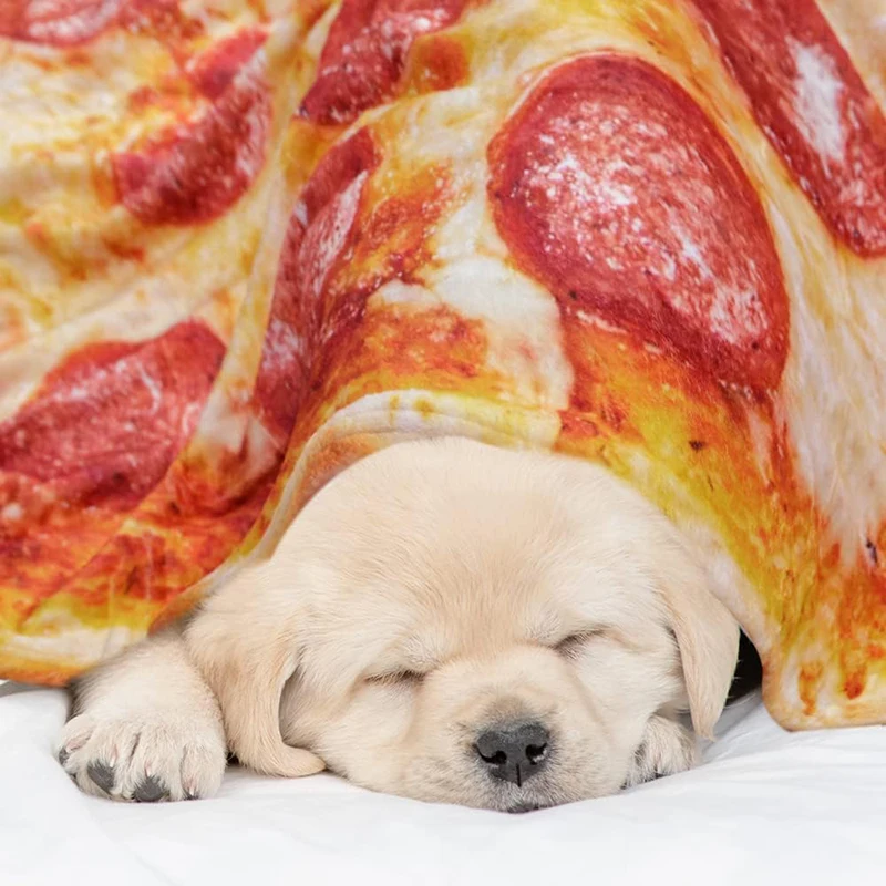 hot selling super soft flannel foods fruits pie pizza pepperoni omelette tortilla blanket