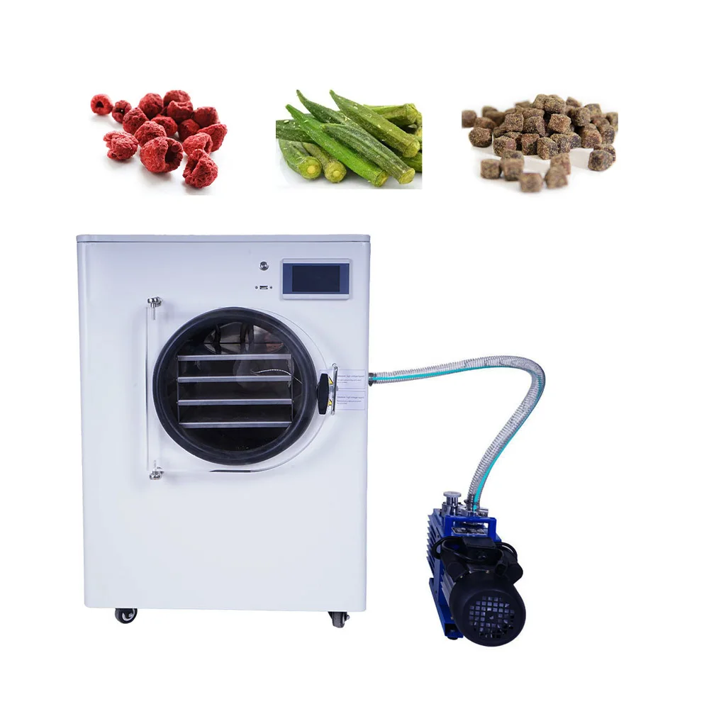 Low Price Freeze Drying Machine Sublimation Condensation Dryer Vacuum Lyophilizer Price Freeze Drying Equipment