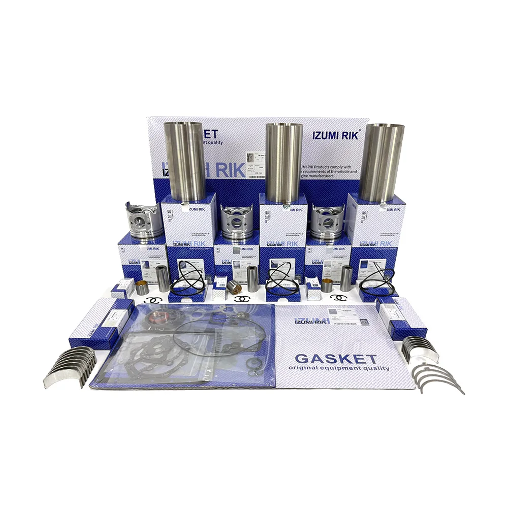 Fast Delivery Engine Parts IZUMI RIK Engine Overhaul Repair Kit for Deutz F3L11011 F3L2011