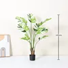 White-edged Monstera leaf - 120cm