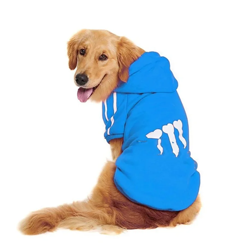 pucci dog hoodie