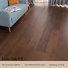 Euro Roble 04 #