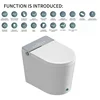 Grigio (Completamente automatico)