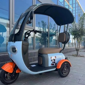 2024 new cheap tricycle 800 watts range of 60 km