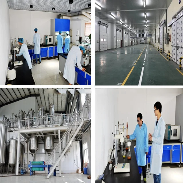 Высококачественный экстракт тремеллы порошок фуциформис 10%