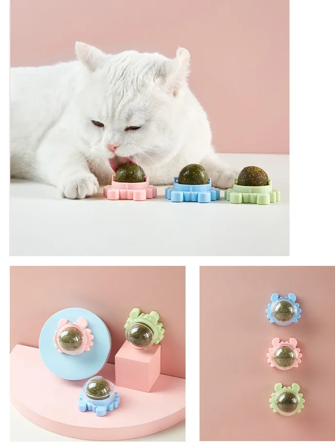 Wholesale Contain Catnip Snack Lollipop Cat Toys Natural Catnip