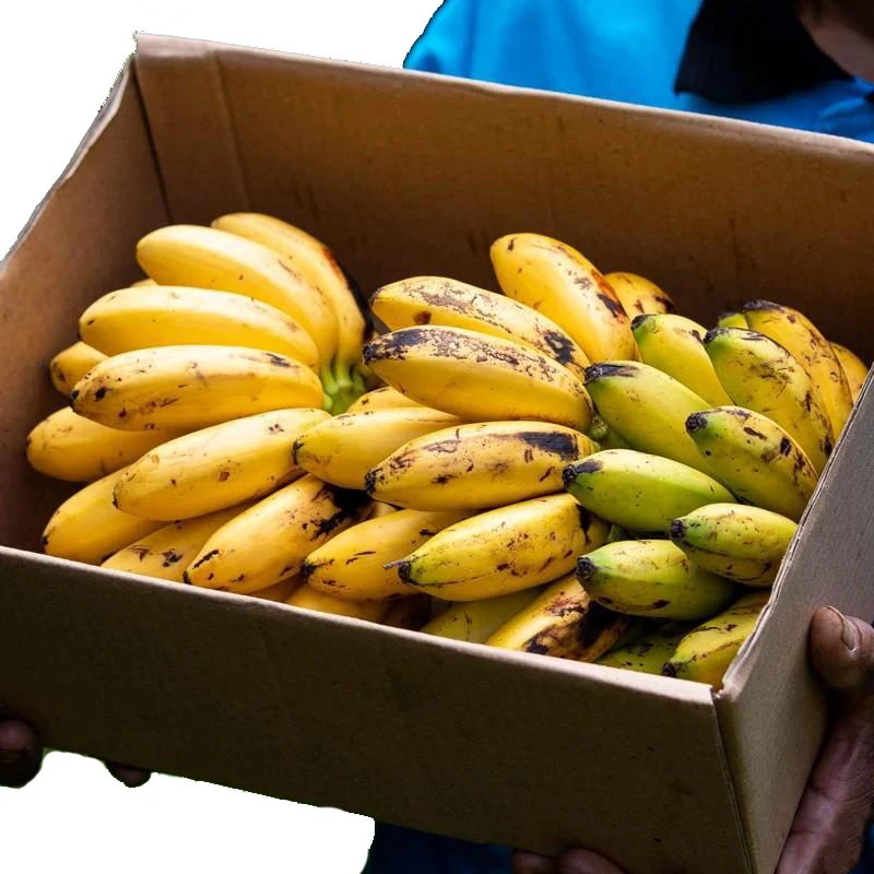 Custom Design Empty Cardboard Banana Carton Fruit Box for Agriculture Fruit Packaging Corrugated Board Square Recyclable Accept
