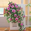 Rose Purple