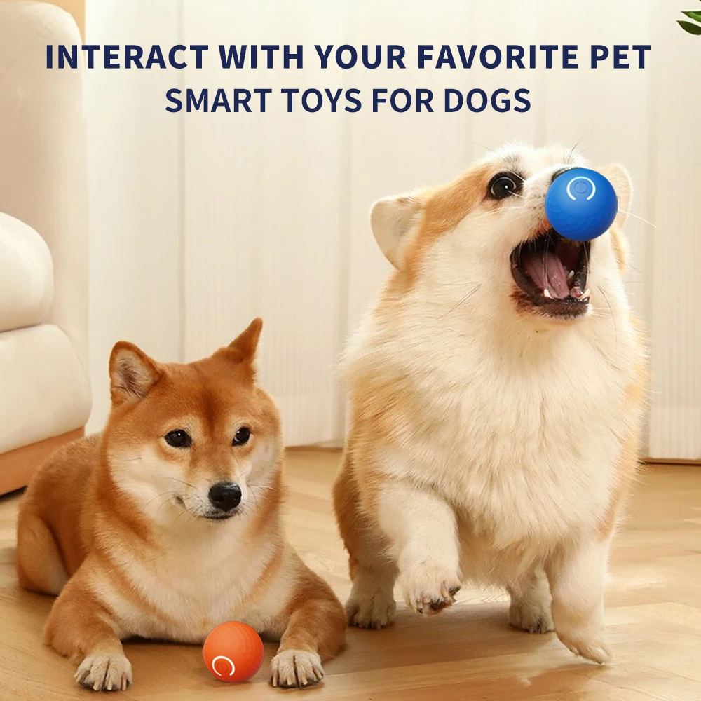 Automatic Rolling Ball Toy Durable Dog Chew Ball Toy Pet GrindingTeeth Toy Dog Jumping Ball