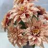 Rosa Albicocca Chiaro