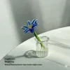 Balloon Flower