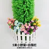 5 bunches of wild chrysanthemums by the white fence