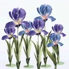 Only diameter flower head  40cm