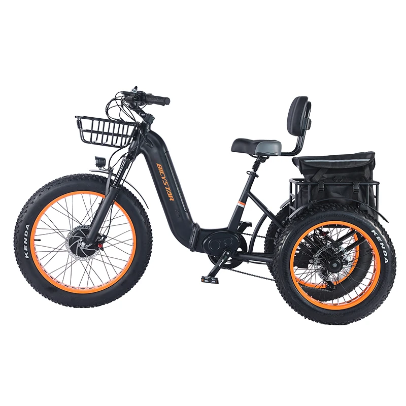2024 Foldable Quad 1000w Motorcycle BICYSTAR Electric Trike