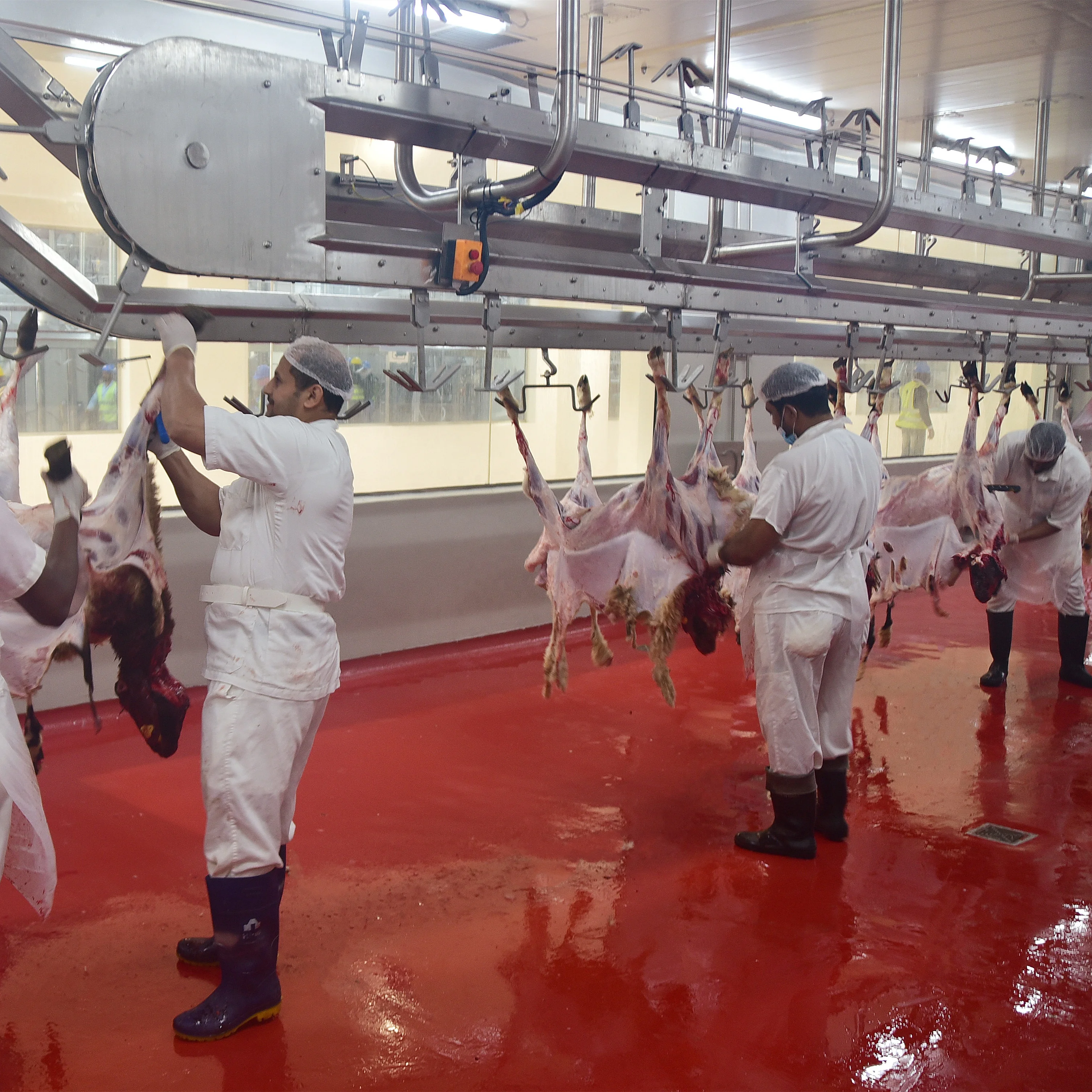 600 heads per shift goat slaughtering machinery and sheep slaughterhouse
