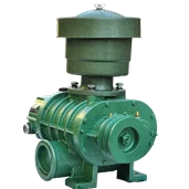 Roots Blower, FUTI, TWO, BLADES, HORIZONTAL - detail 24