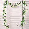 [White 1] 69-head rose vine