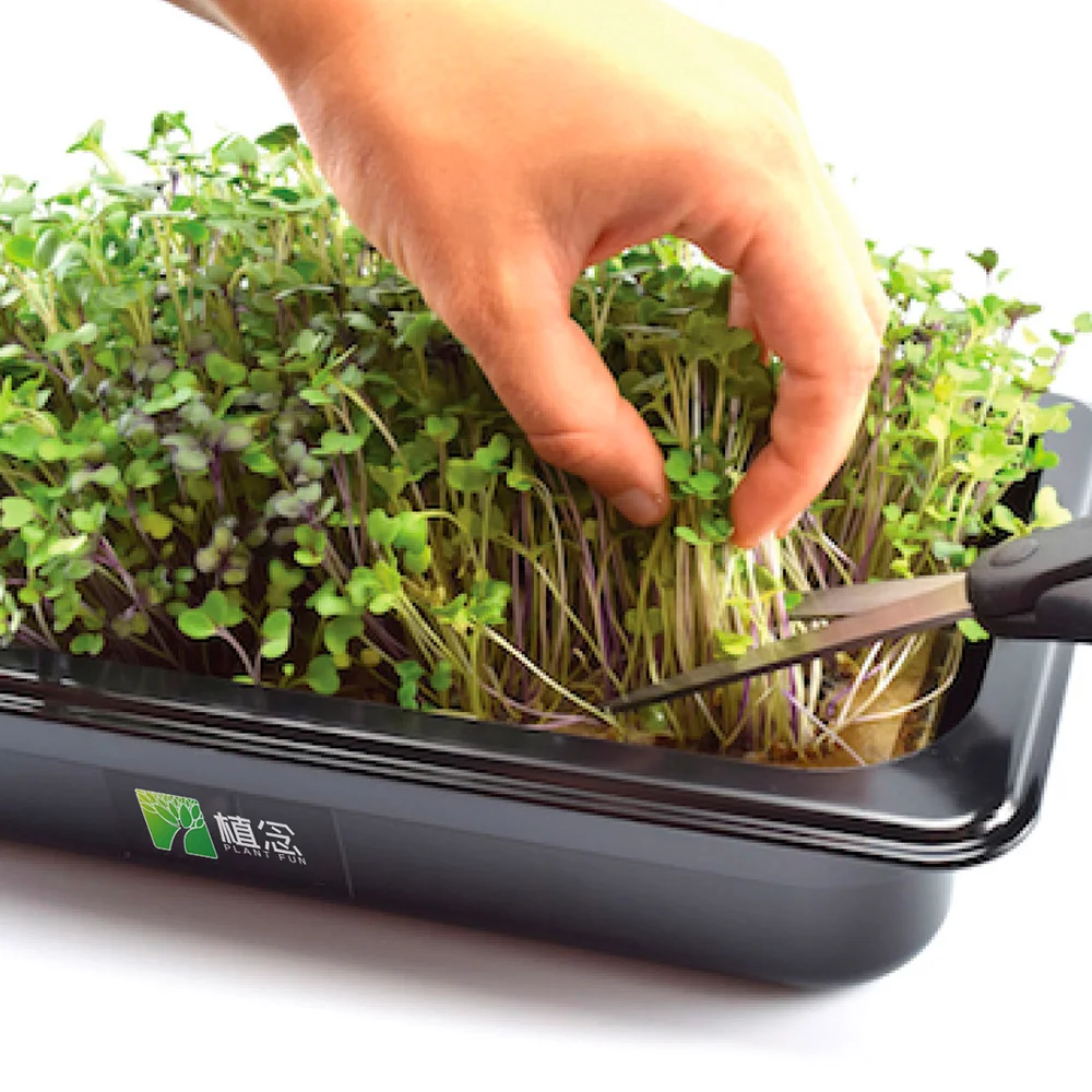 hot selling garden kit custom logo easy microgreen microgreens at 