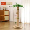 Green Canna lily climbing frame support column