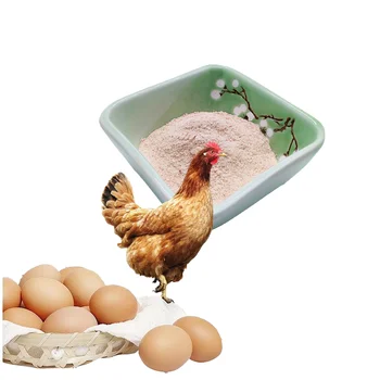 Layer Increase Egg Production Peptides Treasure Growth Promoters Feed Additives Increase Egg Production Extend Cycle