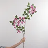 Bougainvillea red 110cm