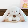 Yirong carré xiangdundun paradis-lapin blanc