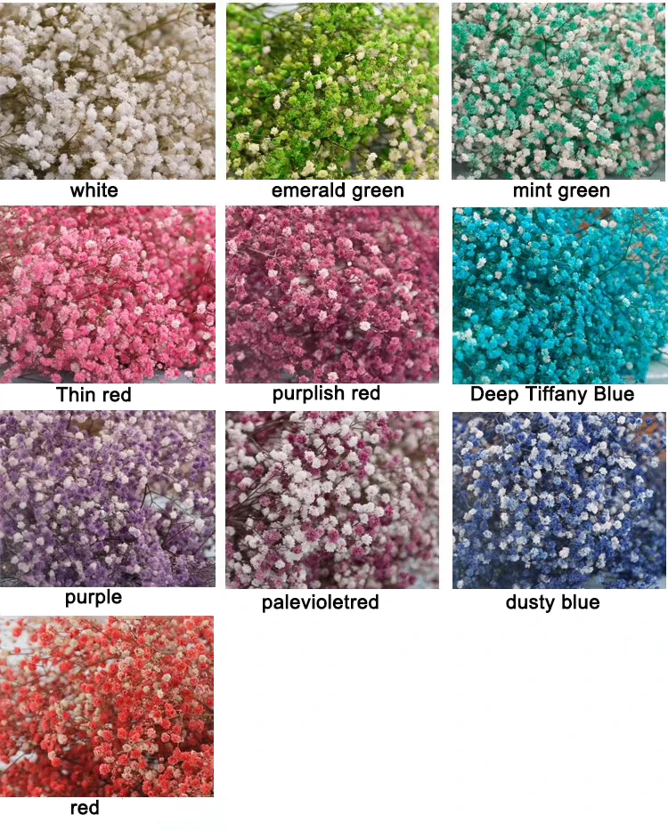 Gypsophila Bouquet Preserved Babys Breath Flowers White Color Dried