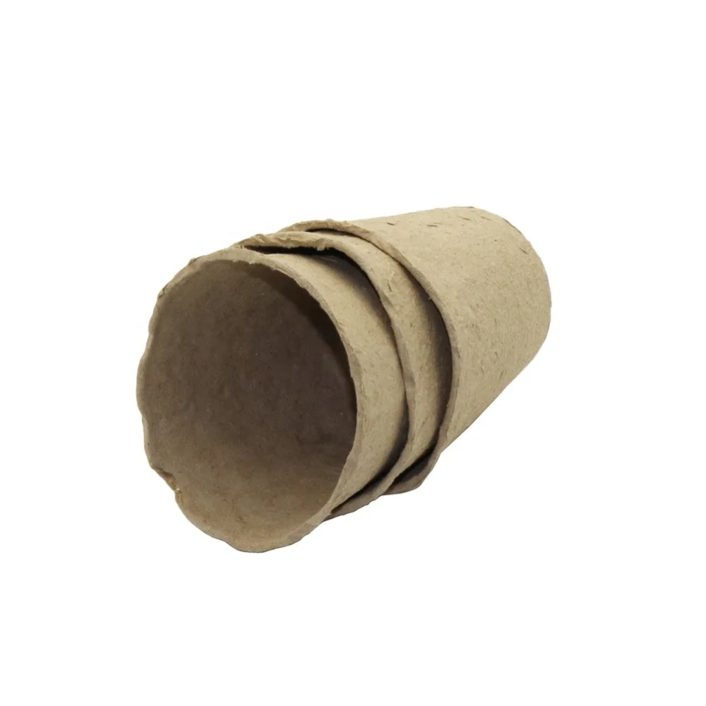 50 Stück Torf-Töpfe Für Anzucht – Biologisch Abbaubare Pflanztöpfe 8 Cm Aus Papier & Torf