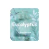 Eucalipto