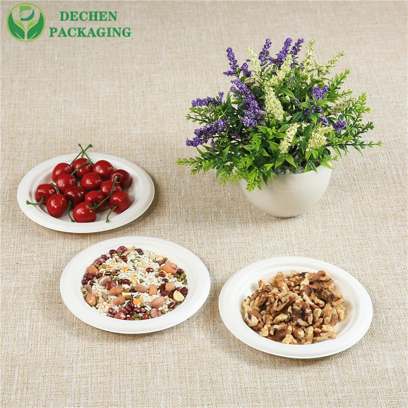 Biodegradable Small Food Tray - 3/5 Compartments Bagasse Plate