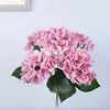 Rose profond