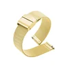 with buckle gold