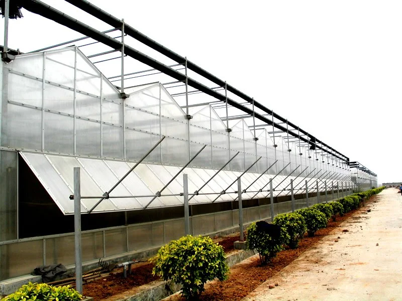 Hangmei Commercial  Agricultural Polycarbonate Greenhouse with Hydroponics System for tomato