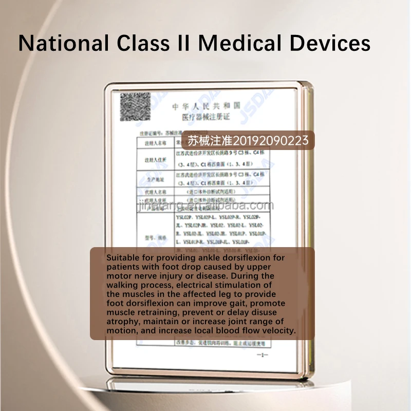 Fes Stroke Cerebral Infarction Stroke Cerebral Palsy Elderly Adult Foot