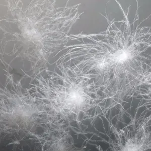 High Quality Wholesale 70% Good Filling Power Machine Washable USA Starand Natural White Duck Down Feather for Sale