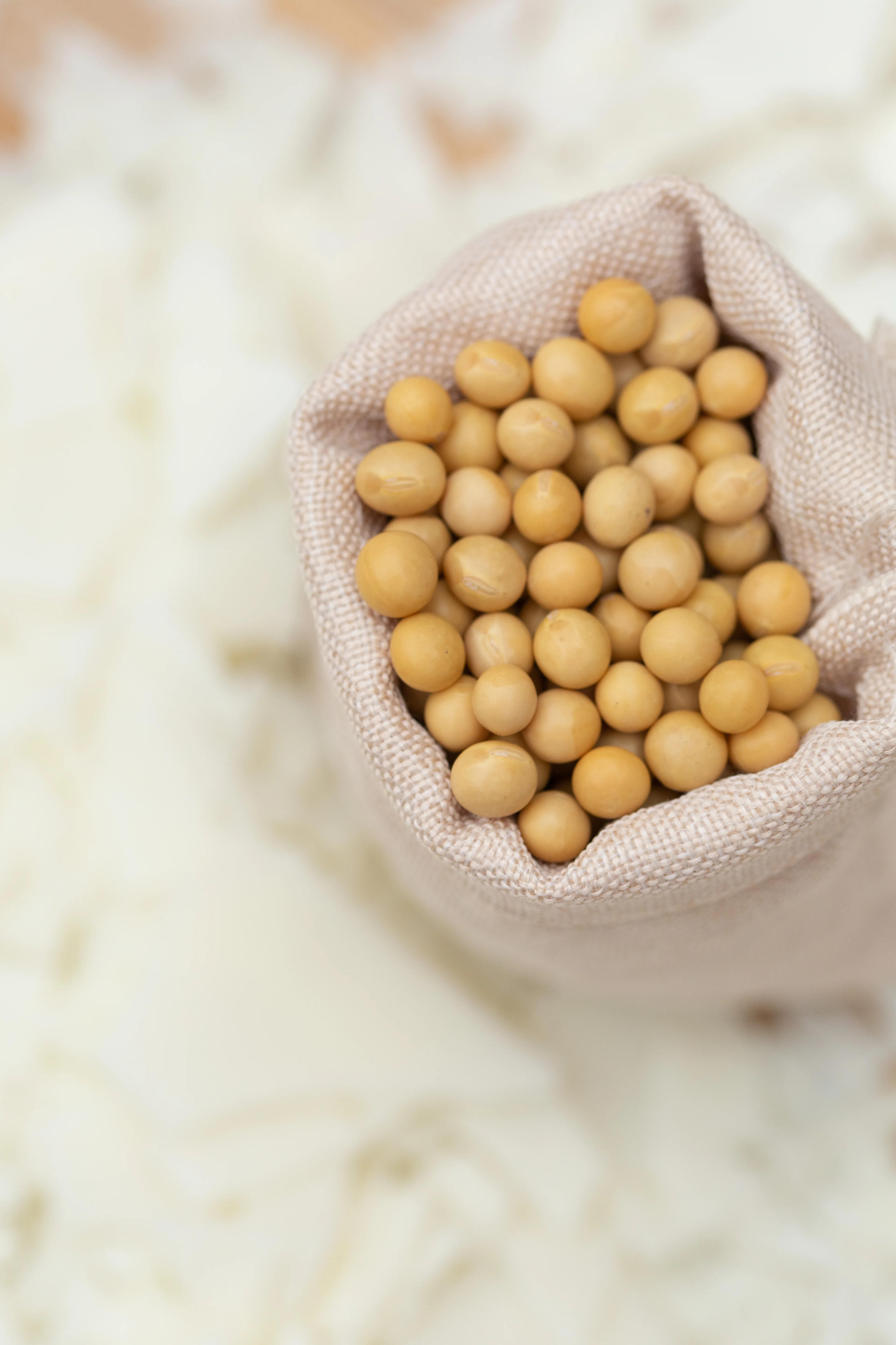 Soy Wax Candle And Paraffin Oil Import China Goods Buy Soy Wax,Soy