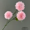 3-headed chrysanthemum