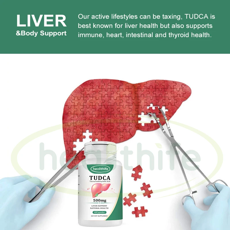 FocusHerb Tauroursodeoxycholic Acid Capsule OEM ODM 500mg/60caps/Bottle TUDCA Capsules