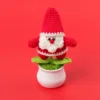 Three dimensional Santa Claus potted plant