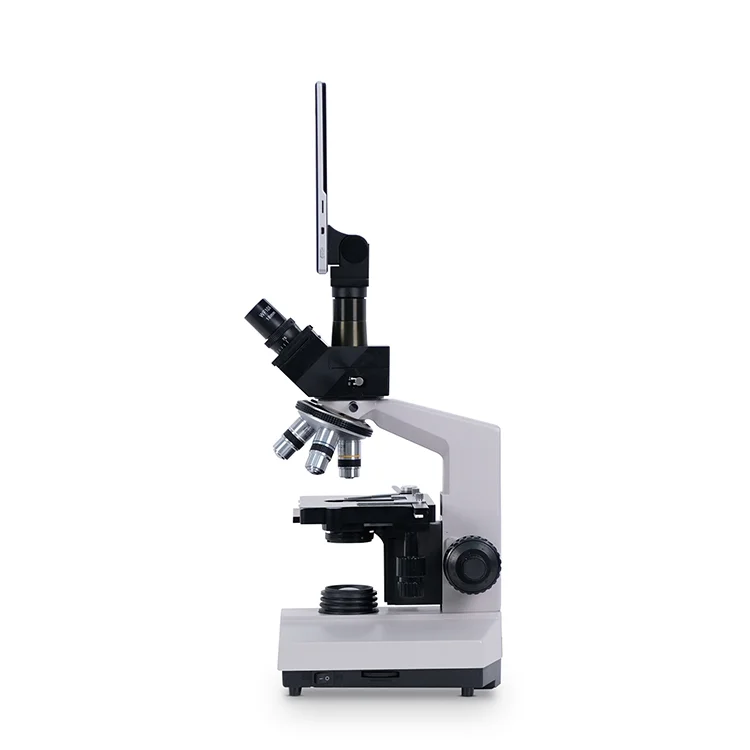 YSXWJ2310 Medical Microscope Electronique Factory Binocular Microscope Medical Germ Digital Scanning Electron Microscope Price