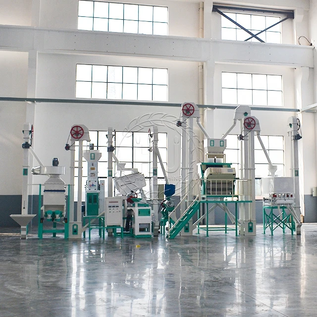 30ton rice mill (15)