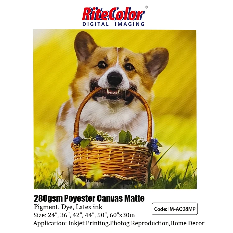 280gsm Impressão Digital Roll Inkjet poliéster lona 44 polegadas