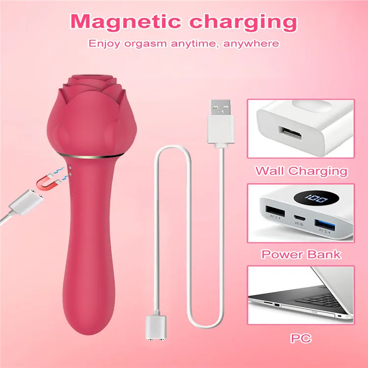 2 in 1 USB-Powered Soft Silicone Rose Vibrator Wand & Clitoral Stimulator Stick Popular New Sex Toy Dildo for Women