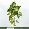 Gran colgante de pared de hiedra verde
